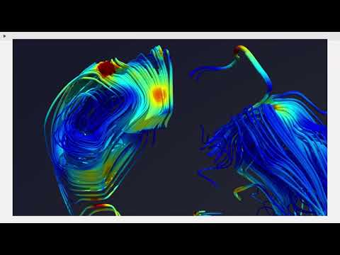 Jack Kinzig 377 Project