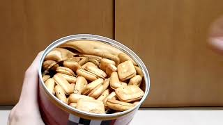 タルコフみたいに乾パンを食べる動画