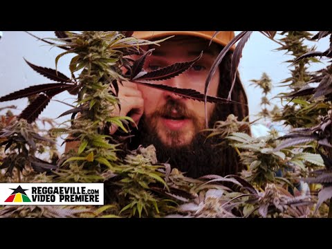 Dada I - Young Horace [Official Video 2023]