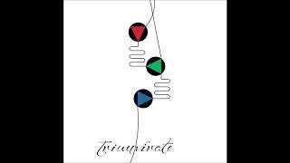 Carter Tutti Void -  T 3.3