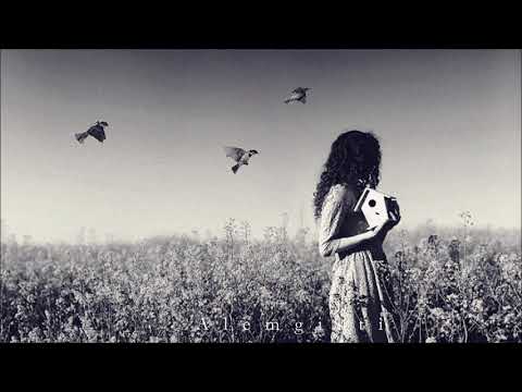 Vigen & Pooran - Shaneh