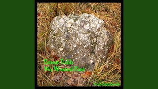 I&#39;m With A Crowd But So Alone