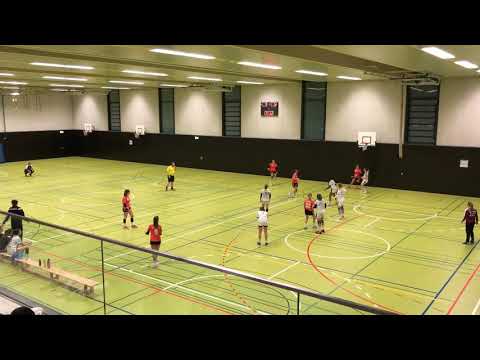 F-BL: TSG Ailingen - HC Hohenems 39:19 (19:8)