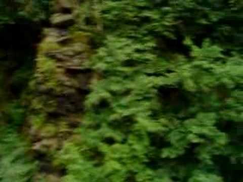 calea ferata Bumbesti - Livezeni