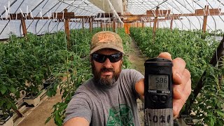 GROW HEALTHY HYDROPONIC TOMATOES WITH THE PROPER PH AND EC