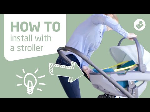 Миниатюра изображения товара Автокресло Maxi-Cosi Coral (Essential Black)