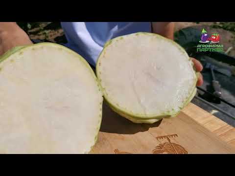 Миниатюра изображения товара Семена Агрофирма Партнер Капуста Кольраби Гигант (0.5г)