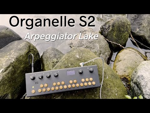 Critter & Guitari Organelle S2 - Synthesizer image 5