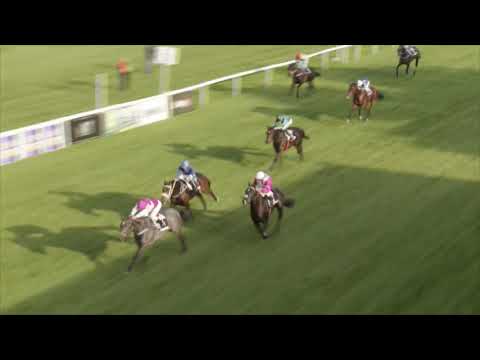 20191006_07_35. Karpatská cena