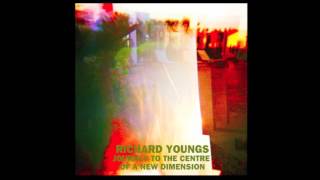 Richard Youngs • Getting Ready for the New Disaster (2016) UK