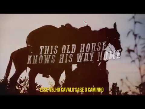 Fernando Bernardes-Old Paint    ft Conrado & Aleksandro