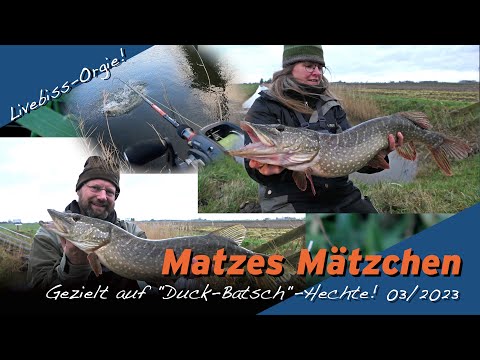 Matze Koch: Angeln auf "Duck-Batsch-Hechte!" - Matzes Mätzchen 03/2023