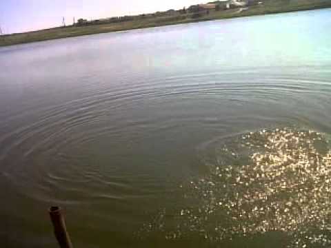 ten la colonesti geofry