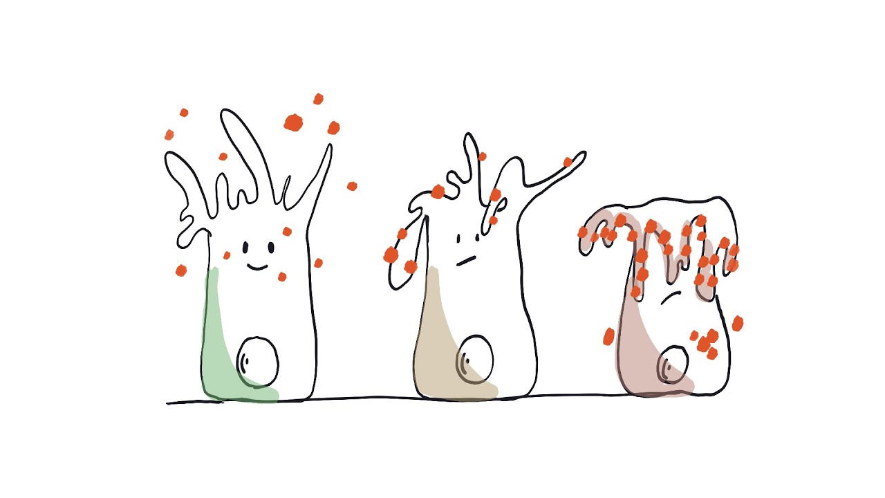 How to Reduce Glycation? (A Huge Contributor to Aging and Chronic Inflammation.)