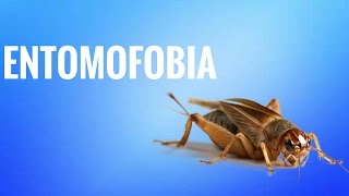 ENTOMOFOBIA