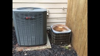 Trane Wants To Step On The Little Guy