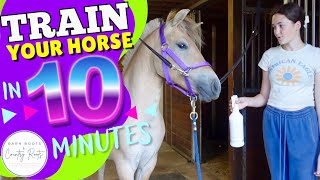 YOUNG HORSE TRAINING SERIES: DO THIS 10 MINUTE SESSION DAILY! | VLOG