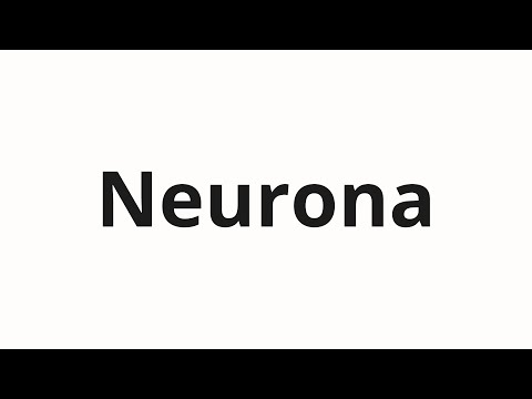 How to pronounce Neurona
