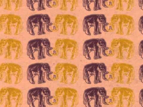 Wild Orchid Children - Ahead of Us the Secret (Elephant EP)