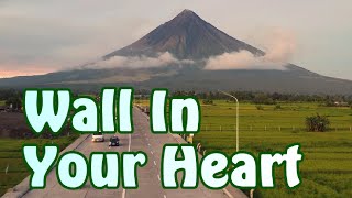 Wall In Your Heart (Shelby Lynne Lyrics)