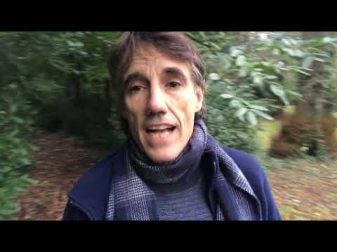 The HANGED MAN reversed tarot card meaning