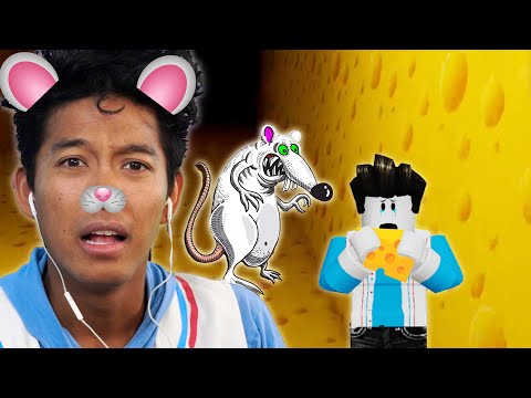 CHASED BY AN EVIL RAT! MarMar NEEDS CHEESE!