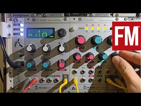 Mutable Instruments Clouds Clone - CCTV - Eurorack Module image 6
