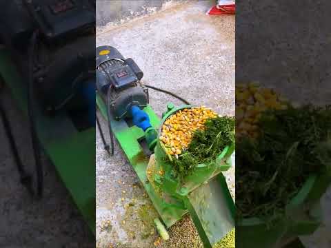 Animal Feed Processing Machines Making Pelletizer Granulation Chicken Cattle Feed Pellet Machine