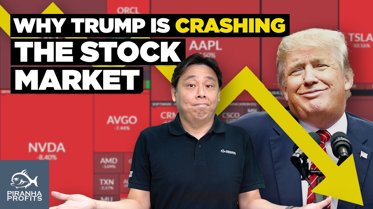 Why Trump is Crashing the Stock Market