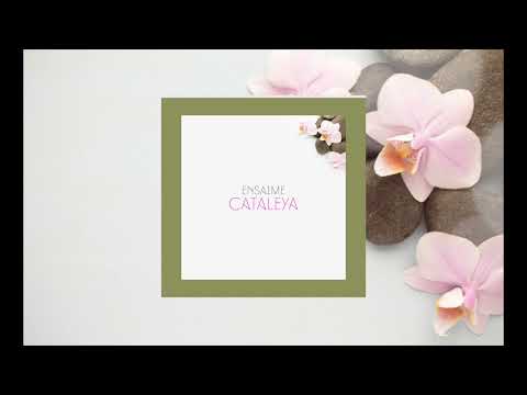 Ensaime - Cataleya (Original Mix)