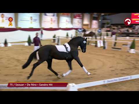 KN 75 von Sezuan / De Niro