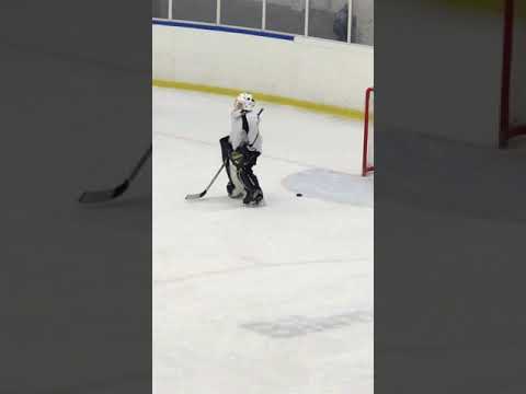 Vigge spikar igen målet