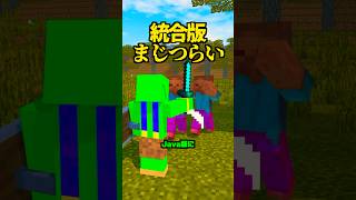 統合版に「ない」機能5選...【マイクラ】