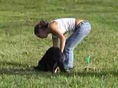 Michelle & Max -- Tracking -- 060827