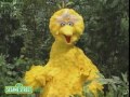 Sesame Street Elmo S World 1005