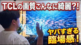 TCL同士でもこんなに違う？！C8Lと愛用のQ7Dを比較！画質・音質をじっくりレビュー