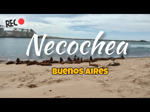 NECOCHEA , BS as (playa la mansa,puerto Quequén,lago de los cisnes)