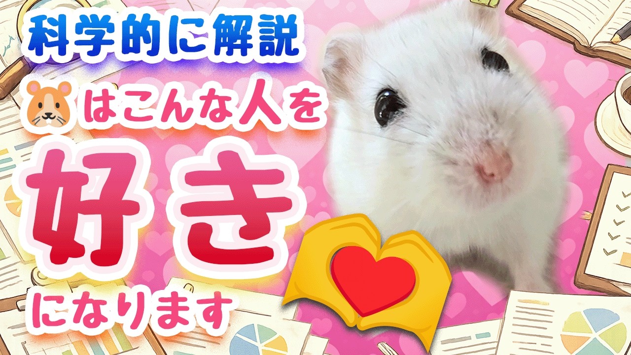 ハムスターはどんな人を好きになりやすいのかを解説【科学的】