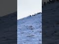 Snowboard in Boise, Idaho, USA
