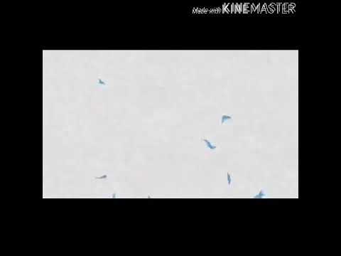 La bagarre de MC FRESHH et LOUNY en plaine journé des rappeurs de la nouvelle génération en guinée