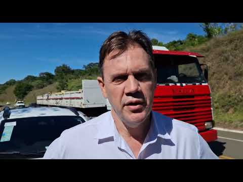 Animal invade a pista e provoca sinistro com caminhão entre Guaxupé e São Pedro da União