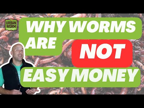 2 Hidden Obstacles to Profit in Worm Farming