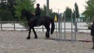 preview picture of video 'Horse ride lesson from Claire-Anne Couprie on my Friesian Gauke; Cours de dressage avec mon Frison'