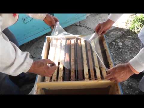 Iernatul stupilor - Impachetarea in folie dubla si avantajele ei - apicultura pentru incepatori