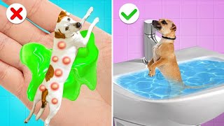 Extreme Pet Rescue in Hospital || Useful Pet Gadgets and Hacks