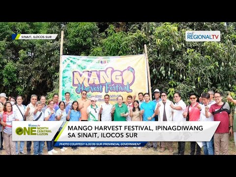 One North Central Luzon: Mango Harvest Festival, ipinagdiwang sa Sinait, Ilocos Sur