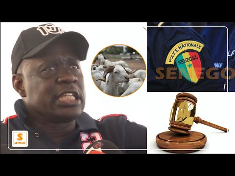 Escroquerie : L’animateur Lamine Samba condamné à payer 7 millions à un policier