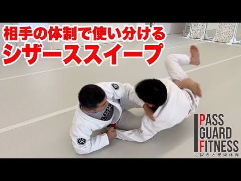 相手の体制で使い分ける シザーススイープ scissors sweep【柔術】