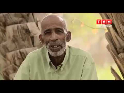 Dream Project - Episode 7: Chebika, Tozeur