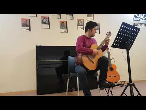 Adagio by J.K.Mertz ( classical guitar basic level )